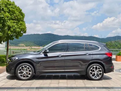 2022 BMW X1 sDrive25Li Leading, фото 4, лот 10465390