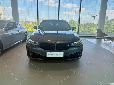 2019 BMW 3 Series GT 320i Fashion Model, фото 2, лот 10473743