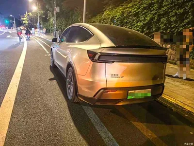 2025 Tesla Model Y L, фото 3, лот 11214531