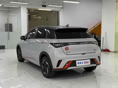 2021 Byd Dolphin, фото 4, лот 10245471