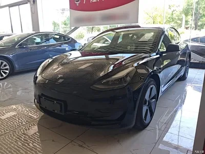 2022 Tesla Model 3 Model Rear-Wheel Drive Version, фото 1, лот 10370509