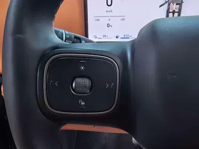 2025 WEY Lanshan AWD Max, фото 4, лот 10451668