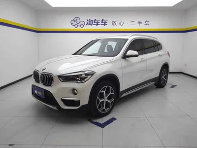 2019 BMW X1 xDrive20Li Premium Model, фото 1, лот 10429445