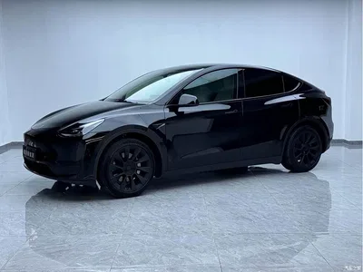 2022 Tesla Model Y Rear-Wheel Drive Version, фото 1, лот 11178829