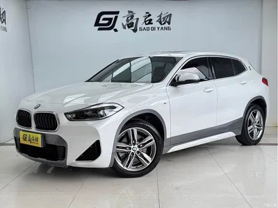 2020 BMW X2 sDrive25i Leading M Off-Road Package, фото 1, лот 10402648