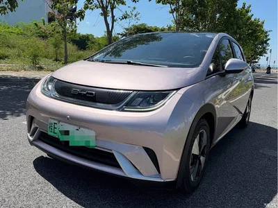 2023 BYD Dolphin 420km Fashion Edition, фото 1, лот 11184766