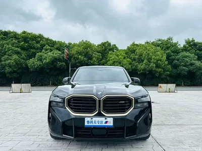 2023 BMW XM Model Base, фото 1, лот 10477205