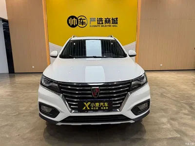 2020 Roewe RX5 20T Automatic 4G Internet Million Edition, фото 2, лот 10338968