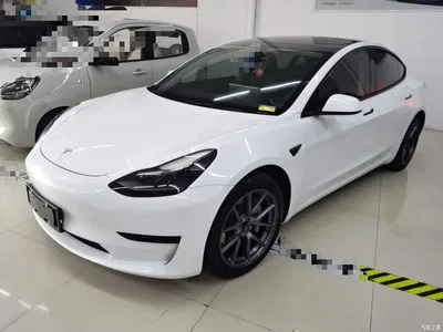 2021 Tesla Model 3 Standard Range Rear-Wheel Drive Upgrade 3D6, фото 2, лот 10369918