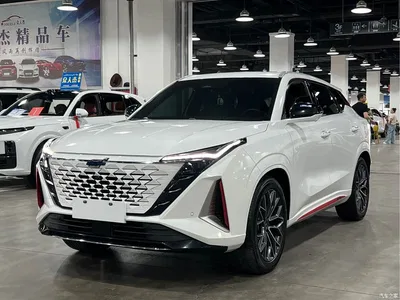2023 Oshan Z6 Blue Whale 2.0T Automatic Zhiyuan, фото 2, лот 10407963