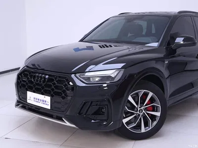 2023 Audi Q5L 40T Luxury Dynamic, фото 3, лот 10405978