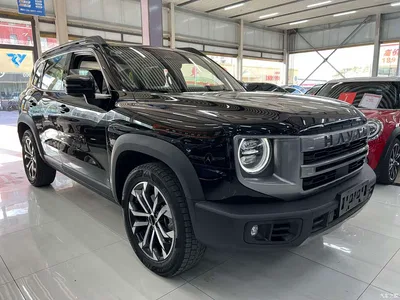 2024 Haval Big Dog Model 1.5T DCT Labrador Edition, фото 3, лот 10361573