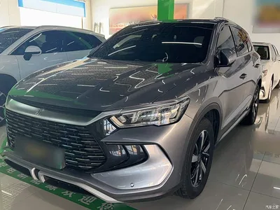 2023 BYD Song Pro New Energy Champion Edition DM-i 110KM Surpassing Type, фото 2, лот 11249797