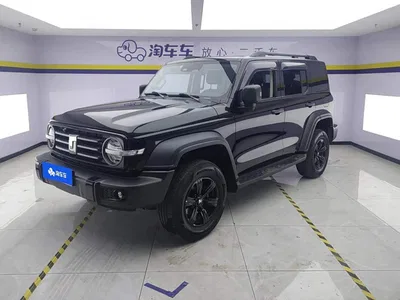 2021 Tank 300 Off-road Version 2.0T Conqueror, фото 1, лот 10344258