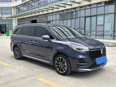 2022 Roewe iMAX8 400TGI Ultimate Edition, фото 3, лот 10338932