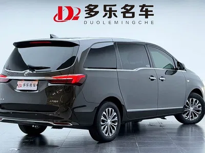 2022 Buick GL8 Land Business Class 652T Luxury, фото 3, лот 10256126