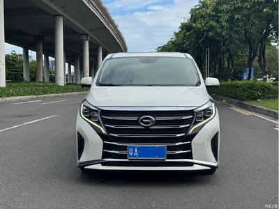 2021 GAC Trumpchi Trumpchi M8 Leading Show Series 390T Ultimate Edition, фото 2, лот 10415458