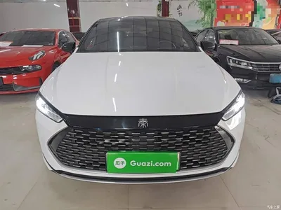 2023 BYD Qin PLUS Champion Edition DM-i 55KM Leading, фото 3, лот 10390333
