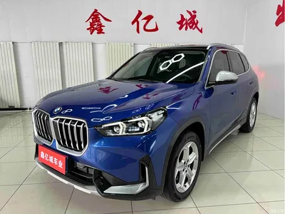 2023 BMW X1 sDrive20Li X Design Package, фото 1, лот 10466437