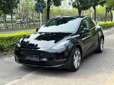 2023 Tesla Model Y Long Range All-Wheel Drive Edition, фото 1, лот 10403315