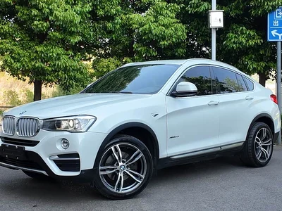 2014 BMW X4 xDrive20i X Design Package, фото 1, лот 10476901