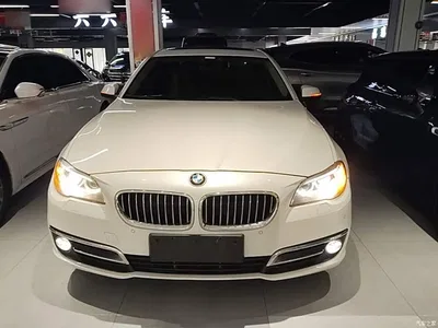 2017 BMW 5 Series 525Li Leading Edition, фото 3, лот 10482656