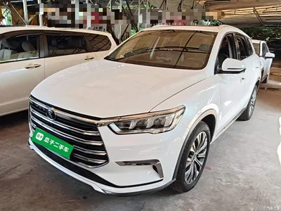 2019 BYD Song Pro New Energy DM 1.5T 4WD Performance Luxury, фото 2, лот 10276794