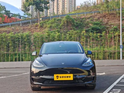 2021 Tesla Model Y Standard Range Rear-Wheel Drive, фото 2, лот 11101895