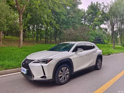 2020 Lexus UX Electric 300e Pure Yue Edition, фото 1, лот 10317344