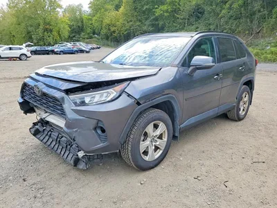 2020 TOYOTA RAV4 XLE, фото 1, лот 11238182