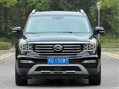 2017 GAC Trumpchi Trumpchi GS8 320T 2WD Luxury Smart Connect (7-seater), фото 2, лот 11002504