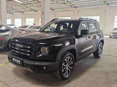 2022 Haval Big Dog 1.5T DCT FWD Border Collie Edition, фото 1, лот 11547995