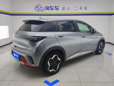 2021 BYD Dolphin Model 405km Fashion Edition, фото 3, лот 10247909