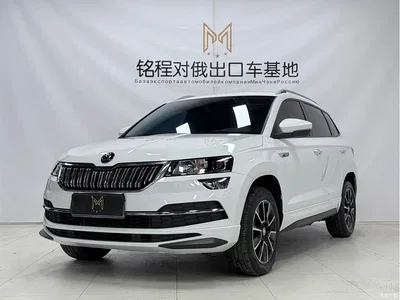 2023 Škoda Karoq TSI280 Premium Edition, фото 1, лот 10349533