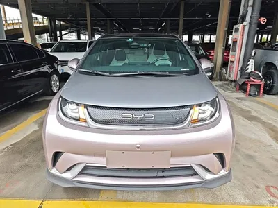 2021 BYD Dolphin 401km Knight Edition, фото 3, лот 10259225
