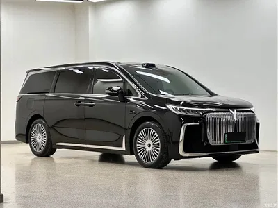 2025 Voyah Auto Voyah Dreamer Model PHEV 4WD Premium QianKun Edition, фото 3, лот 10358593