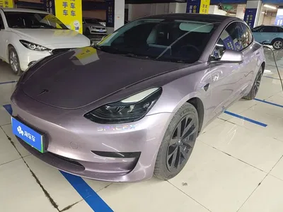 2022 Tesla Model 3 Model Rear-Wheel Drive Version, фото 1, лот 10906689