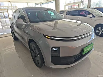 2024 Li Auto L6 Pro, фото 4, лот 11503060