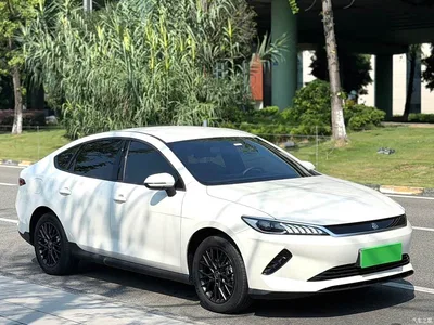 2026 BYD Qin PLUS EV Smart Drive Edition 510KM Progressive, фото 2, лот 10363330