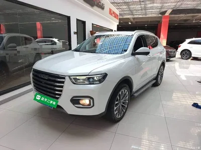 2020 Haval H6 1.5GDIT Automatic Platinum Champion Edition, фото 1, лот 10390091