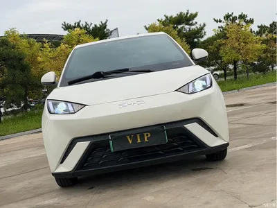 2024 BYD Seagull Glory Edition 305km Vitality Edition, фото 4, лот 10250224