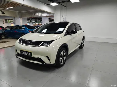 2024 BYD Dolphin Glory Edition 420km Fashion Edition, фото 1, лот 11136265