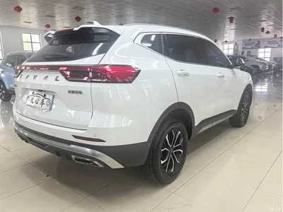 2023 Haval H6 National Trend Edition 1.5T Automatic Urban, фото 4, лот 10283520