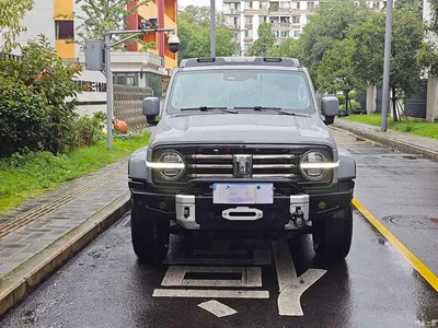 2021 Tank 300 Urban Edition 2.0T Stylish, фото 2, лот 10344213