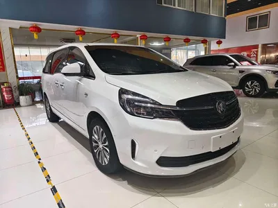 2021 Buick GL8 Land Business Class 652T Premium, фото 3, лот 10256919