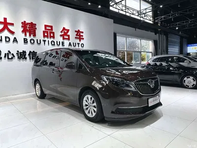 2017 Buick GL8 ES 28T Premium China V, фото 3, лот 10250376