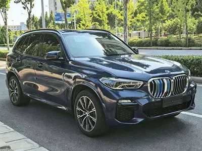 2019 BMW X5 (Import) xDrive40i M Sport Package, фото 3, лот 10422024