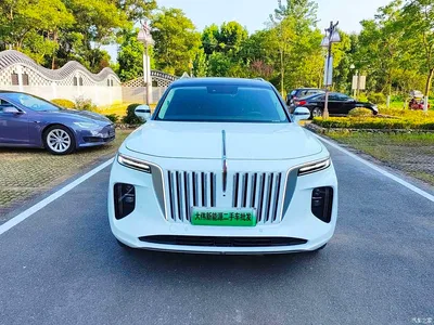 2021 Hongqi E-HS9 460km Flagship Deluxe 7-seater, фото 2, лот 10360964
