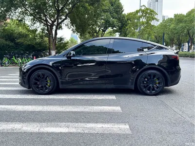 2021 Tesla Model Y Standard Range Rear-Wheel Drive, фото 4, лот 10674296