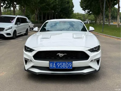 2019 Ford Mustang 2.3L EcoBoost, фото 2, лот 10404186